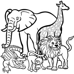 Elegant Image Of Wild Animal Coloring Pages Fit