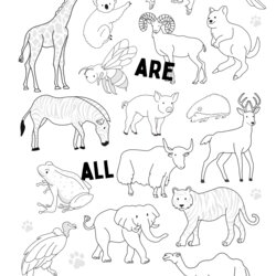 Animals Coloring Page Printable Miss Pursuit Black And White Lined Activity Worksheet