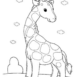 Superior Animal Coloring Pages Kids Print Animals Colouring Printable Color Sheets Kindergarten Template