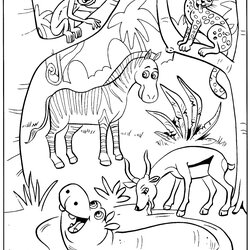 Great Toddler Coloring Pages Animals Animal