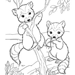 Free Coloring Pages Of Baby Animals Download Wild