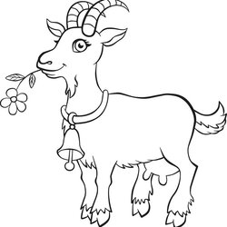 Terrific The Goat Coloring Page Billy Goats Funny