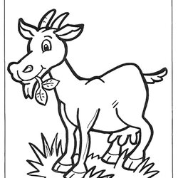 Fantastic Goat Coloring Pages Animals Printable Color Kids Little Print Advertisement Cl