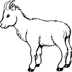 Exceptional Goat Coloring Pages Best Designs