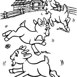 Preeminent Goat Coloring Pages Color Print Cl