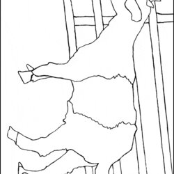 Goat Coloring Page Animals Town Color Sheet Pages Printable Animal Print Back