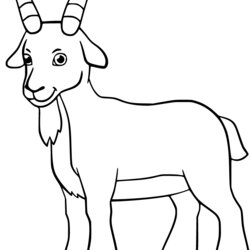 Matchless Goat Coloring Pages Animals Cute Farm Billy Easy Smiles