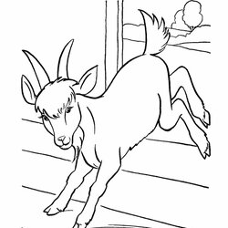 Excellent Free Cute Goat Coloring Pages