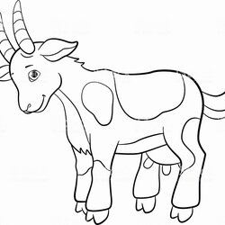 Fine Baby Goat Coloring Pages At Free Printable Cute Farm Drawing Animals Boer Color Book Billy Dairy Print