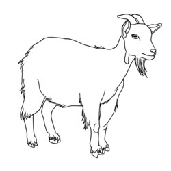 Superlative Free Printable Goat Coloring Pages For Kids Photos