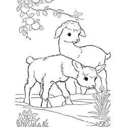 Spiffing Animal Coloring Pages Goat Animals Cute For Your Toddler
