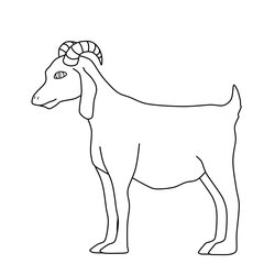 High Quality Free Printable Goat Coloring Pages For Kids Animal Goats Sheets Page