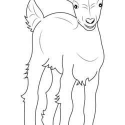 The Highest Quality Baby Goat Coloring Pages Printable