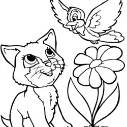 Outstanding Kitten Coloring Pages Best For Kids Printable Free
