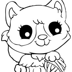 Kitten Coloring Pages Best For Kids Printable Free
