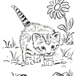 Very Good Kitten Coloring Page Art Starts