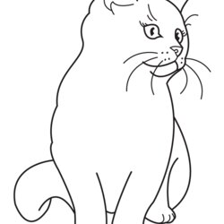 Kitten Coloring Pages Best For Kids Printable Free