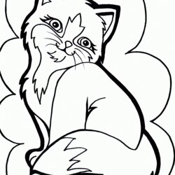Terrific Kitten Printable Coloring Pages Cute