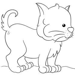 Fine Cute Kitten Coloring Page Free Printable Pages For Kids Lovely