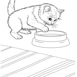 Superlative Free Printable Kitten Coloring Pages For Kids Best