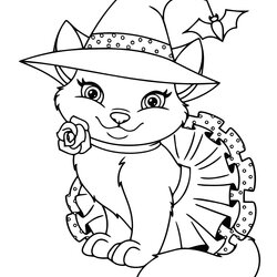 Cool Kitten Coloring Pages Printable For