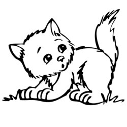 Admirable Kitten Coloring Pages Best For Kids Cute Kittens Colouring Printable Color Outline Kitty Print