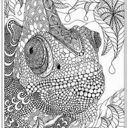 Free Online Adult Coloring Pages Home Adults Printable Popular
