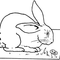 Swell Free Printable Rabbit Coloring Pages For Kids Table Bunny Animals Cute Of