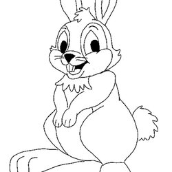 Free Printable Rabbit Coloring Pages For Kids Template Results
