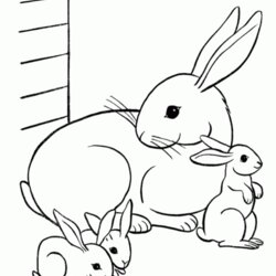 Sublime Free Printable Rabbit Coloring Pages For Kids Bunny