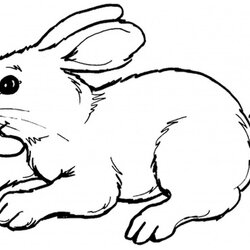 Rabbits Coloring Pages Realistic Rabbit Bunny Printable Print Color Colouring Kids Sheet Animals Bunnies Cute