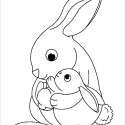Fine Rabbit Coloring Pages Print Page To