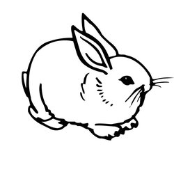 Brilliant Free Printable Rabbit Coloring Pages For Kids Bunny Print Cute
