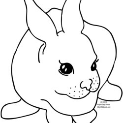 Panda Free Images Rabbit Coloring Pages Kids Bunny Printable Cute Rabbits Template Baby Outline Animal Color