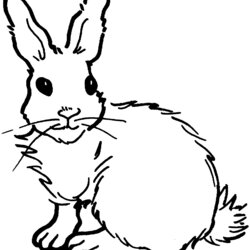 Wizard Free Printable Rabbit Coloring Pages For Kids Bunny Cute Of