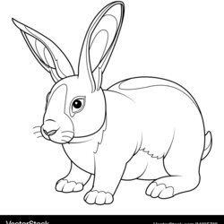 Terrific Rabbit Coloring Page Royalty Free Vector Image Pages Bunny Rabbits Sheets Choose Board