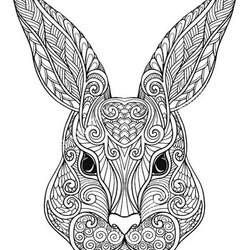 The Highest Quality Rabbit Coloring Pages For Adults