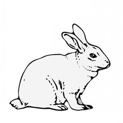Marvelous Free Printable Rabbit Coloring Pages For Kids Drawing Bunny Velveteen Rabbits Bunnies Jack Cute