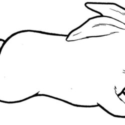 Fantastic Rabbit Coloring Pages Free Download On Realistic Easter