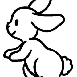 Magnificent Rabbit Coloring Pages For Kids Rabbits Bunnies Color Print Children Printable Beautiful Animals