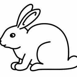 Superb Rabbit Coloring Pages Free Download On Kids Bunny Colouring Cute Drawing Printable Easter Sheets
