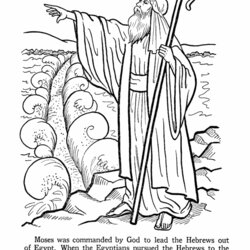 Admirable Bible Coloring Pages Home Kids Printable Popular