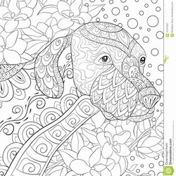 Fine Best Ideas For Coloring Relaxation Pages Adults
