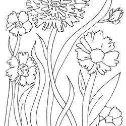 Marvelous Relax Coloring Pages Home