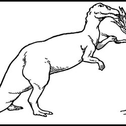 Great Dinosaur Coloring Pages Whimsy