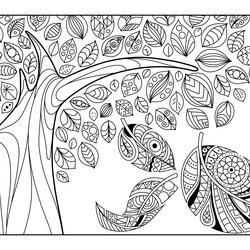 Excellent With The Elements Coloring Pages
