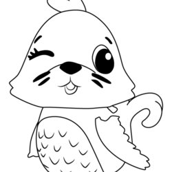 Coloring Pages Best For Kids Seal Printable Polar Para Draw Sheet Print Colouring Color Drawing Birthday