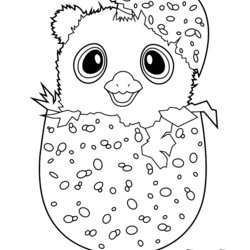 Superlative Coloring Pages Best For Kids Hamster Colouring Printable Sheets Print Animal Choose Board Page