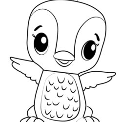 Coloring Pages Printable Template Polar