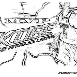 Capital Coloring Pages Of Jordan Shoes Home Kobe Bryant James Basketball Curry Team Michael Printable Stephen